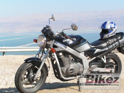 1998 Suzuki GS 500 photo